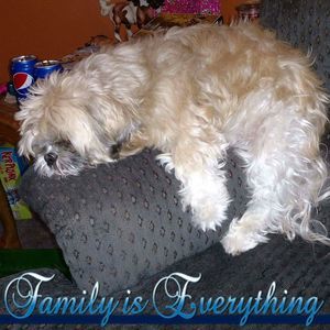 Meet your Posher, Tammy